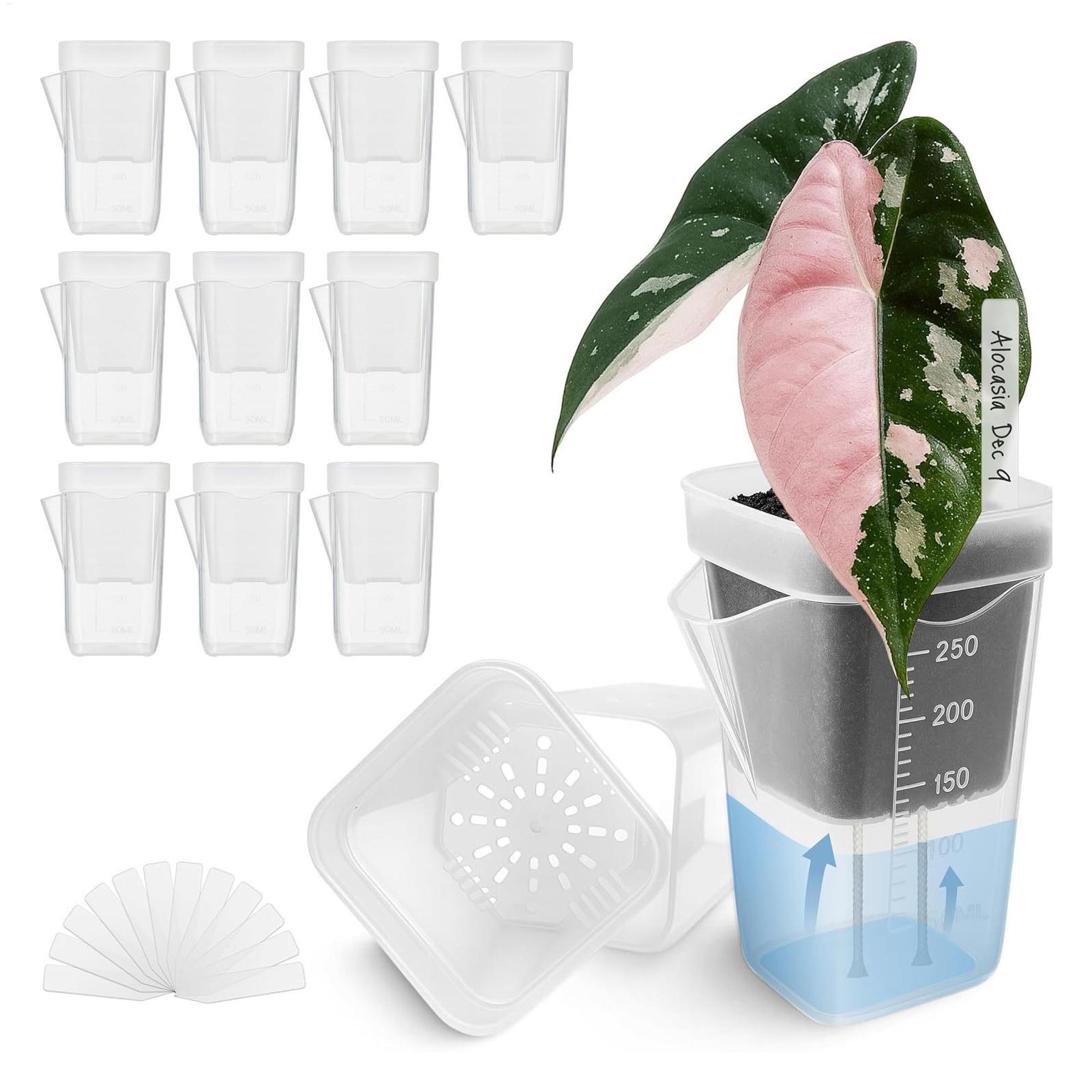Hydroponic Grow Pod - 10 adet kapalı bitki saksısı şeffaf