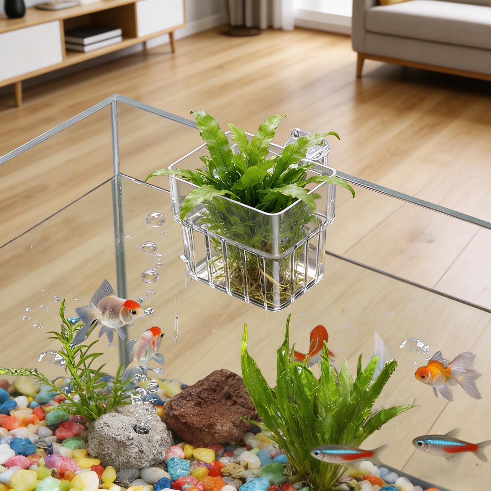 Hydroponic Grow Pod - Şeffaf Asılabilir Akvaryum Bitki Tutucu Saksı