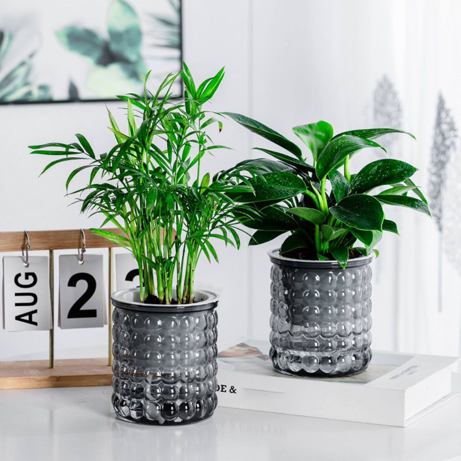 Hydroponic Grow Pod - Yeni Kendinden Sulama Topraksız Bitkiler Pot
