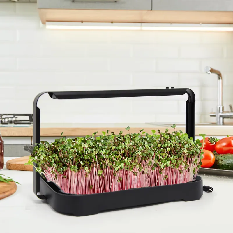 Smart Garden System - Hidroponik Tepsi İç Mekan Mikro Yeşillik