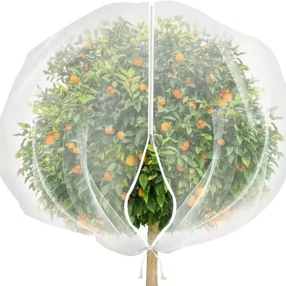Plant Monitor - Fermuarlı İpli Bitki Böcek Sinekliği Bitki