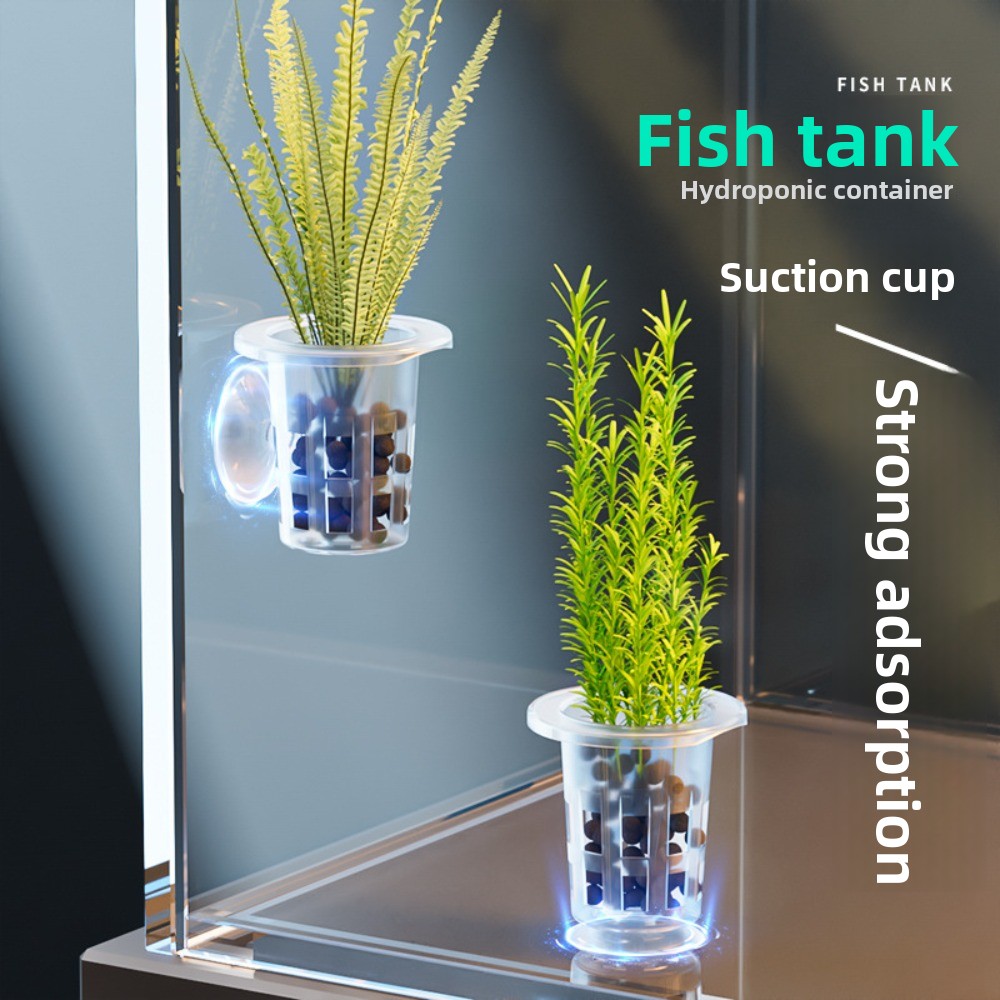 10 adet şeffaf bitki topraksız - Hydroponic Grow Pod incelemesi ve fiyatı