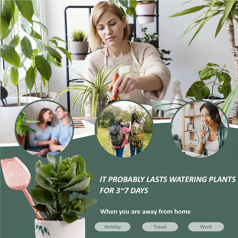 Pembe Lale Bitkisi Sulama Topl - Plant Sensor incelemesi ve fiyatı