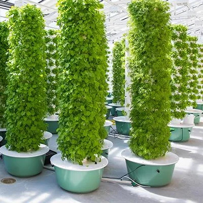 Işıklı Aeroponik Kule Bahçe Si - Hydroponic Tower incelemesi ve fiyatı