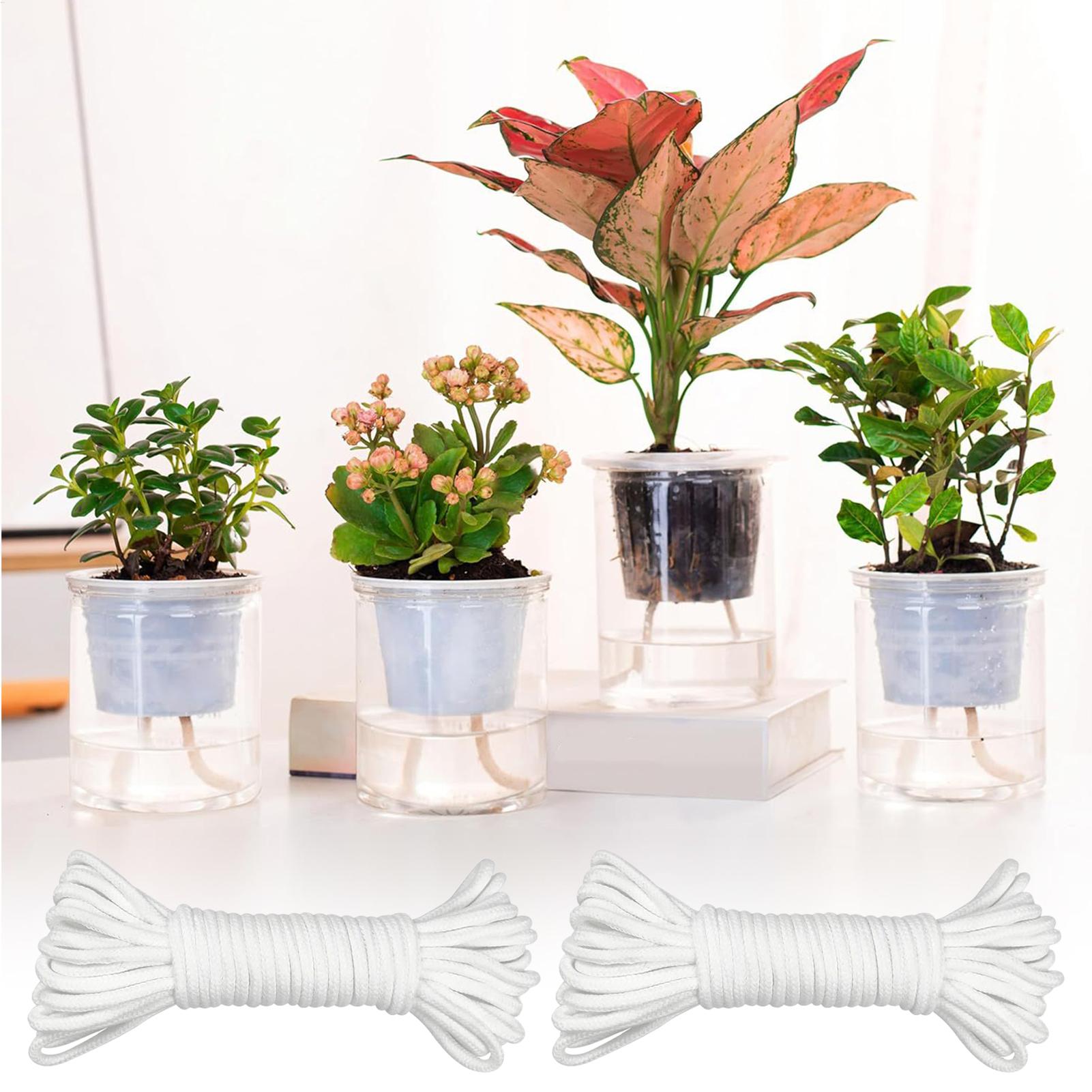 Kendi Kendine Sulamalı Bitki F - Self Watering Planter incelemesi ve fiyatı