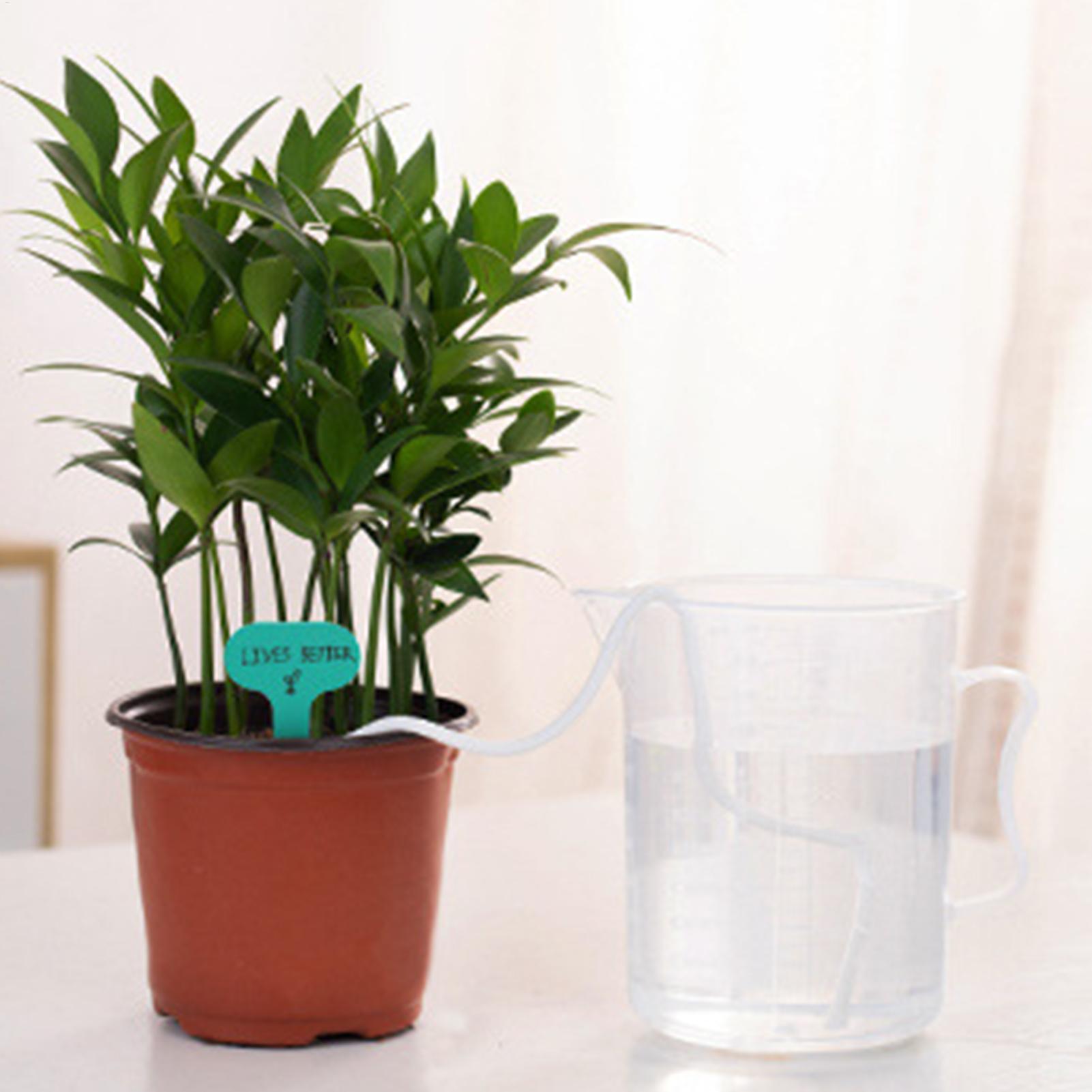 Kendi Kendine Sulamalı Bitki F - Self Watering Planter incelemesi ve fiyatı