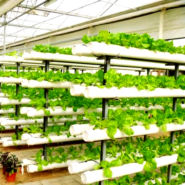 Açık Hava Hidroponik Kule Yeti - Hydroponic Tower incelemesi ve fiyatı