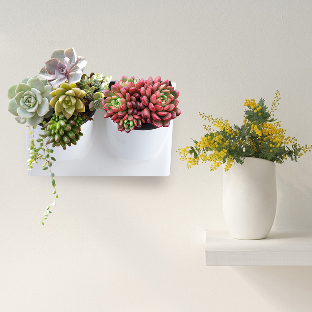Kendi Kendine Sulanan Çiçek Sa - Self Watering Planter incelemesi ve fiyatı