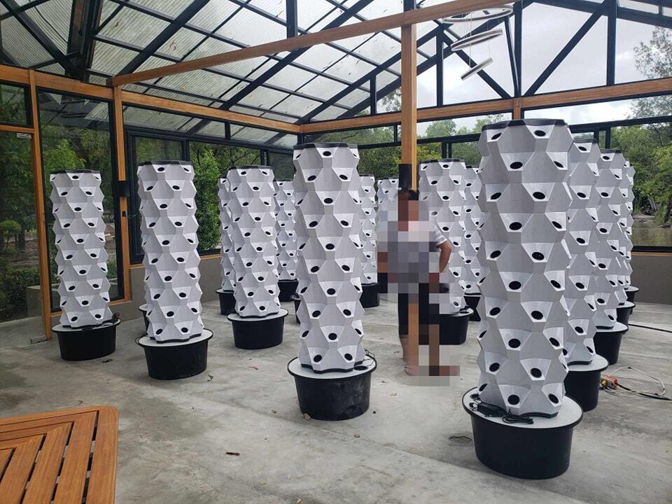 Sera Dikey Tarım Hidroponik Ye - Hydroponic Tower incelemesi ve fiyatı