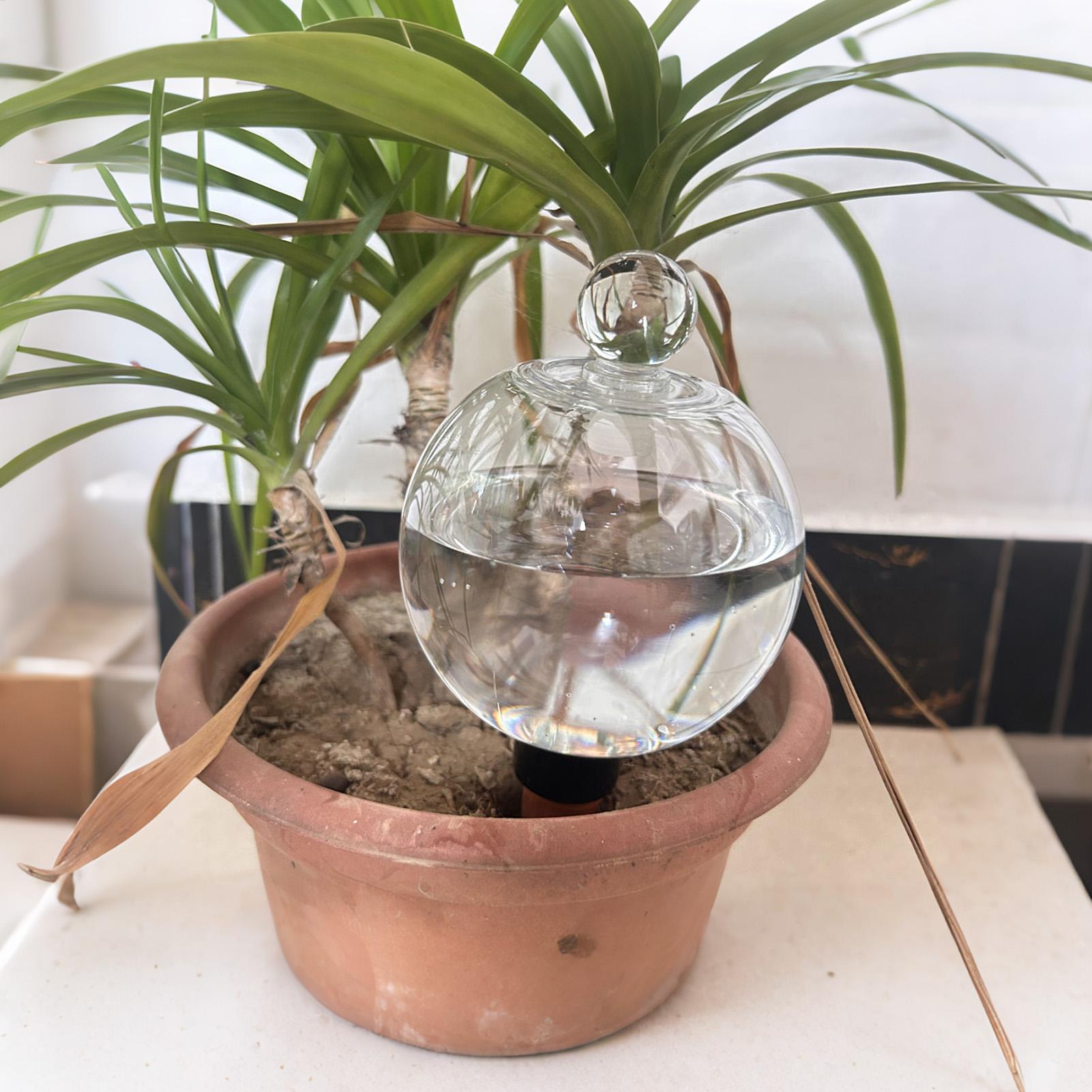 Bitki Sulama Topları 4 adet 50 - Self Watering Planter incelemesi ve fiyatı