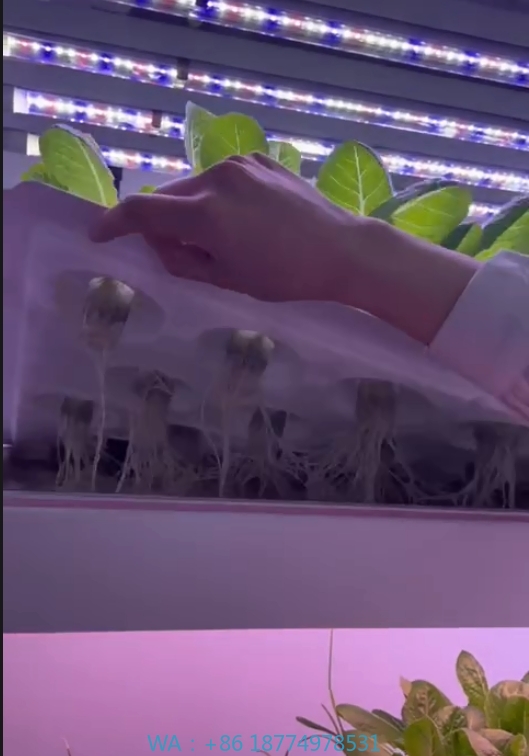 Sera Tarım Ekipmanları Mantar  - Hydroponic Tower incelemesi ve fiyatı