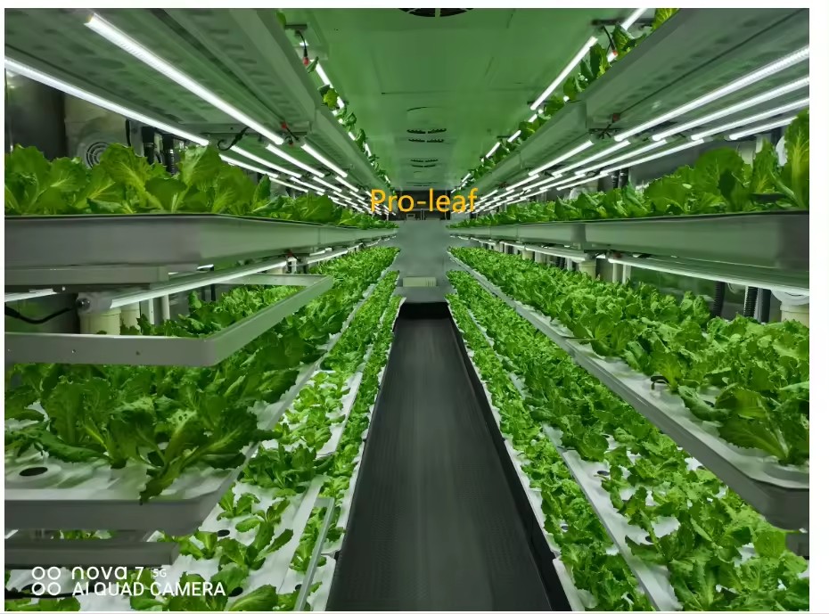Sera Tarım Ekipmanları Mantar  - Hydroponic Tower incelemesi ve fiyatı