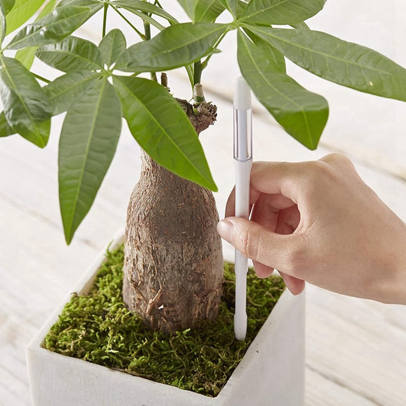 Aquameter, 5 adet, Bitki Topra - Plant Sensor incelemesi ve fiyatı