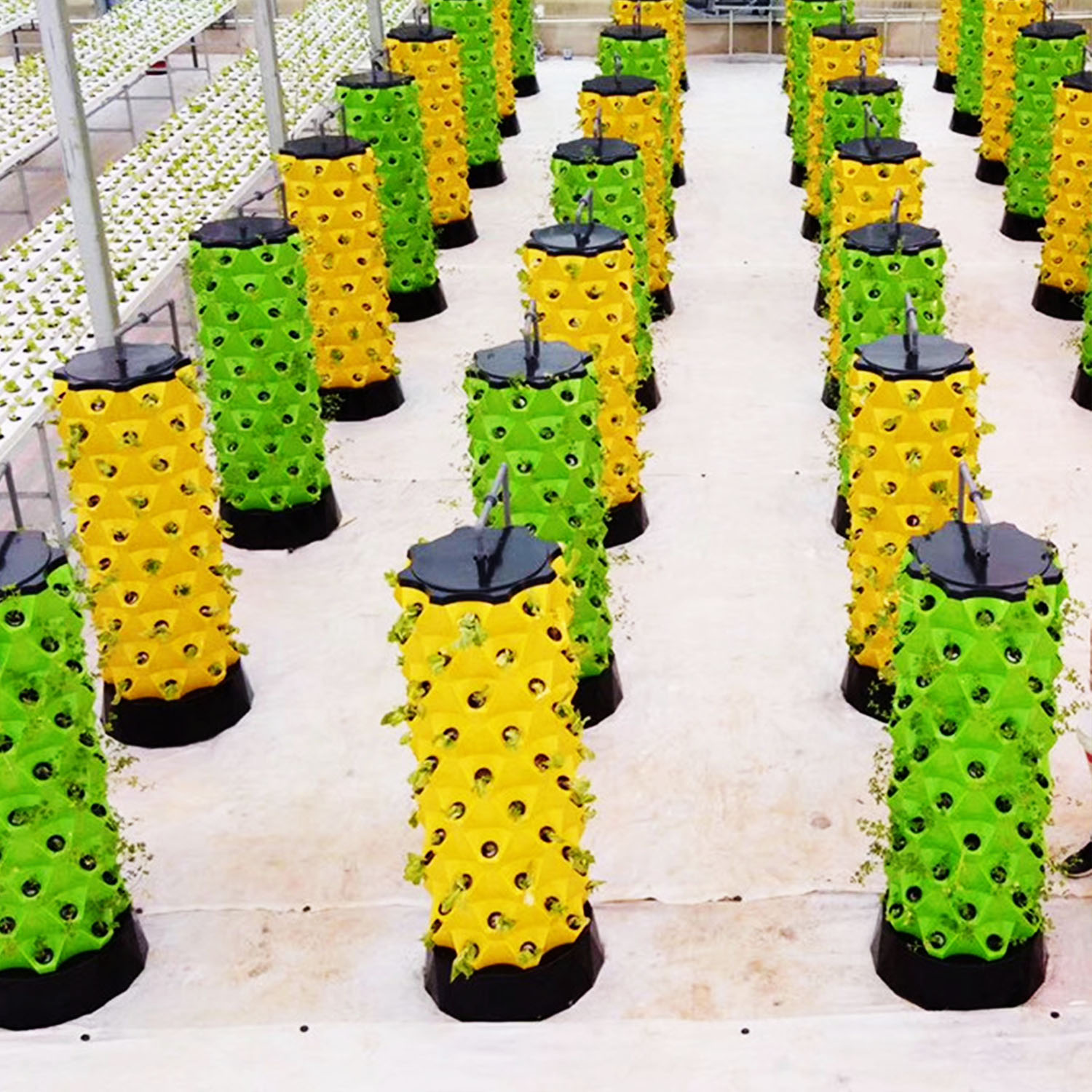 YENİ Hidroponik Dikey Bahçe, A - Indoor Garden Kit incelemesi ve fiyatı