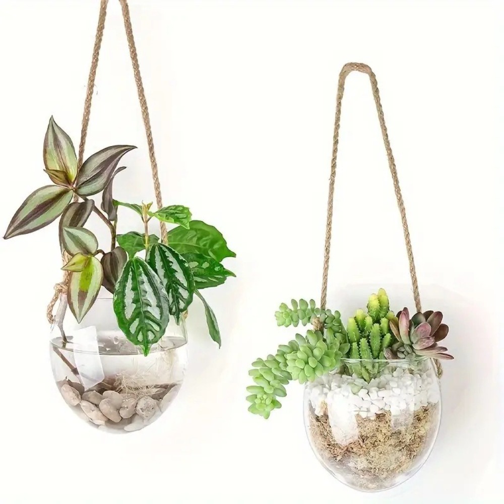 Şeffaf Hidroponik Asılı Vazo C - Hydroponic Grow Pod incelemesi ve fiyatı