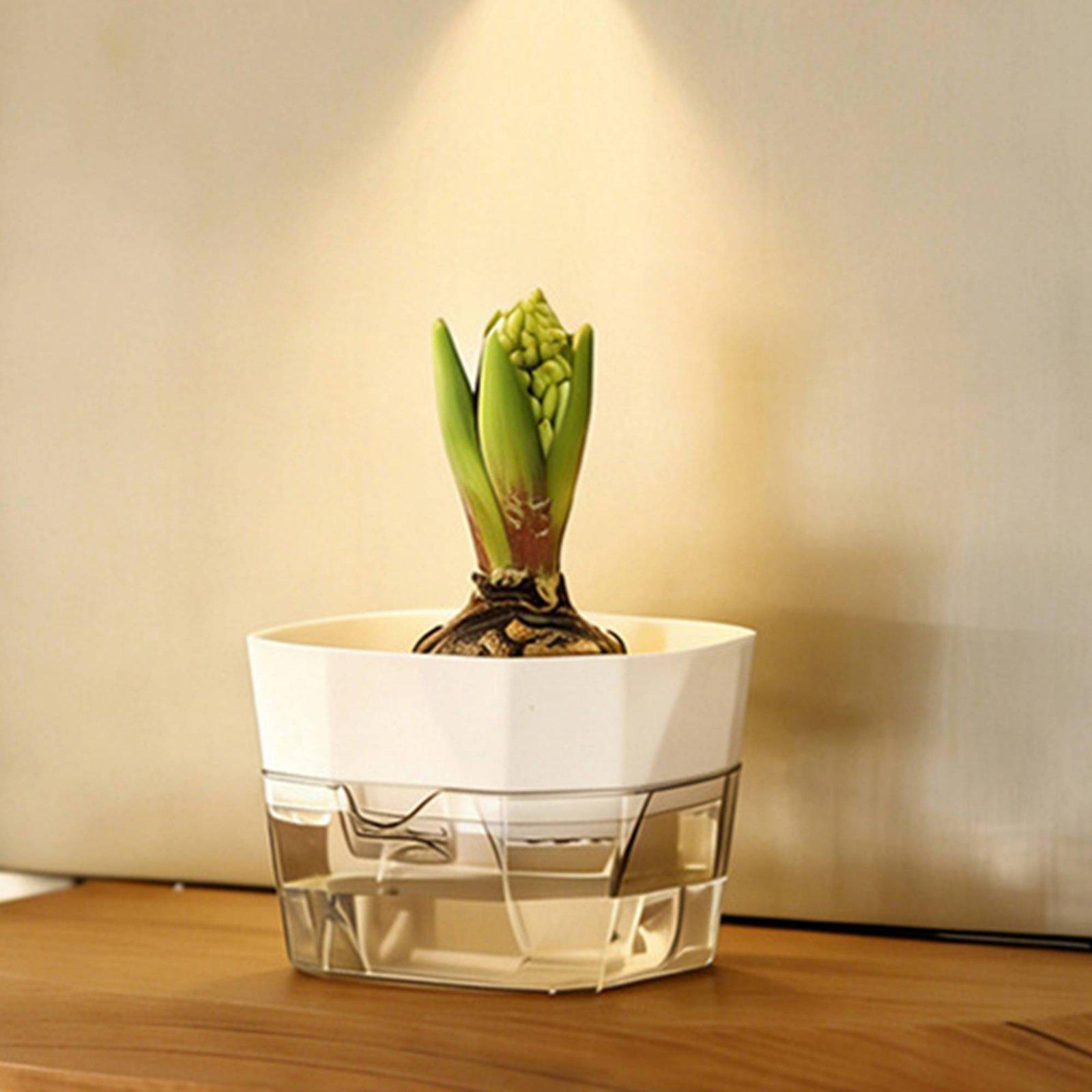 Hidroponik Vazo İki Katmanlı K - Self Watering Planter incelemesi ve fiyatı