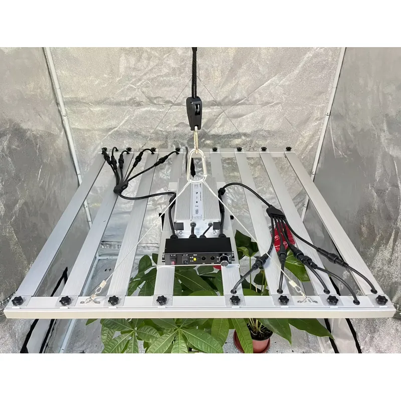 600W Büyütme Lambası Sürücüsü  - Grow Light Led incelemesi ve fiyatı
