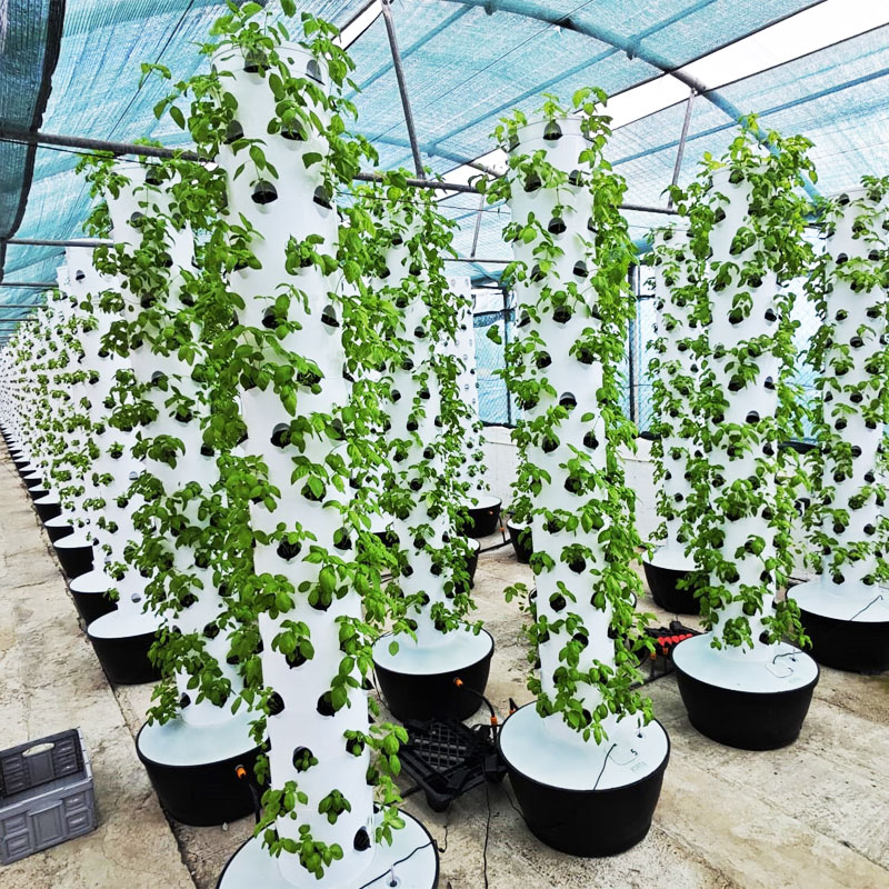 Yüksek Kaliteli Kolay Kuruluml - Hydroponic Tower incelemesi ve fiyatı