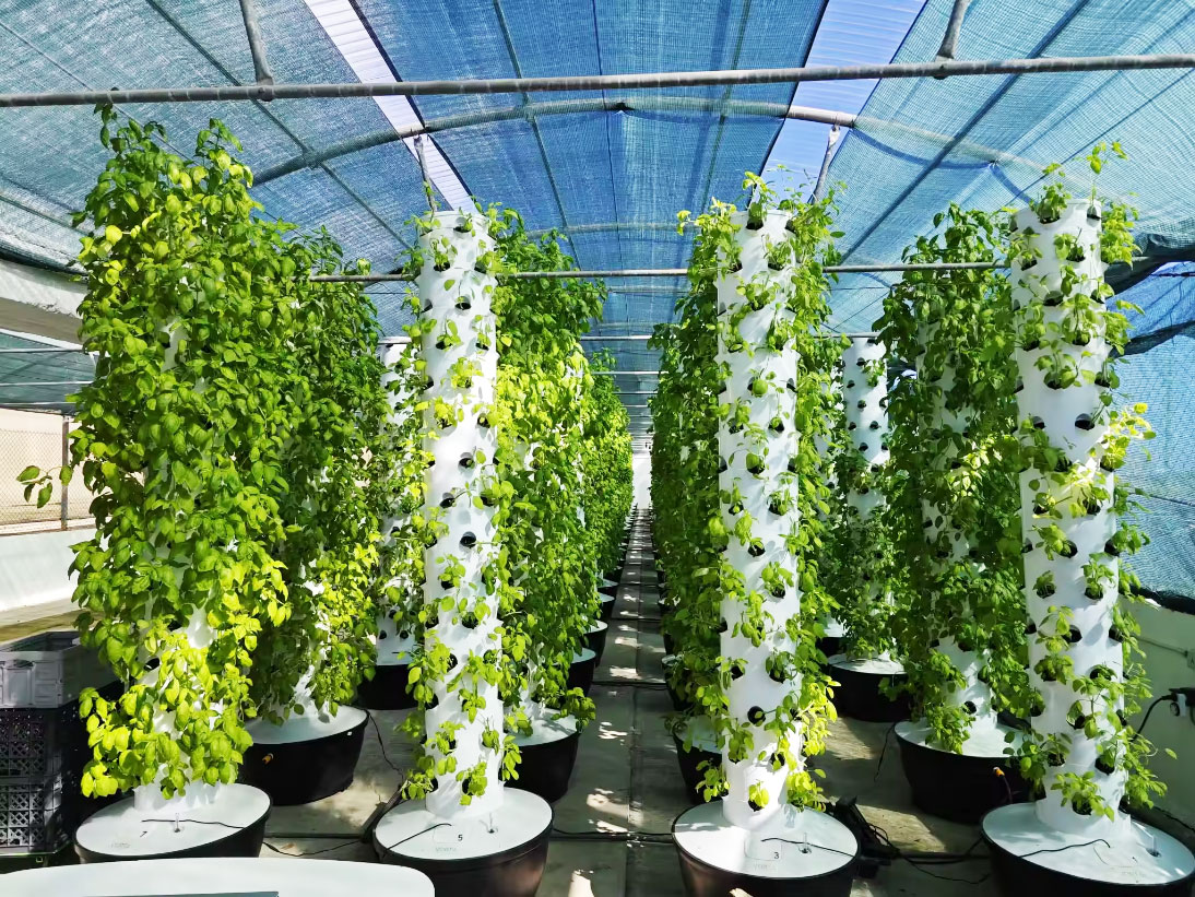 Yüksek Kaliteli Kolay Kuruluml - Hydroponic Tower incelemesi ve fiyatı