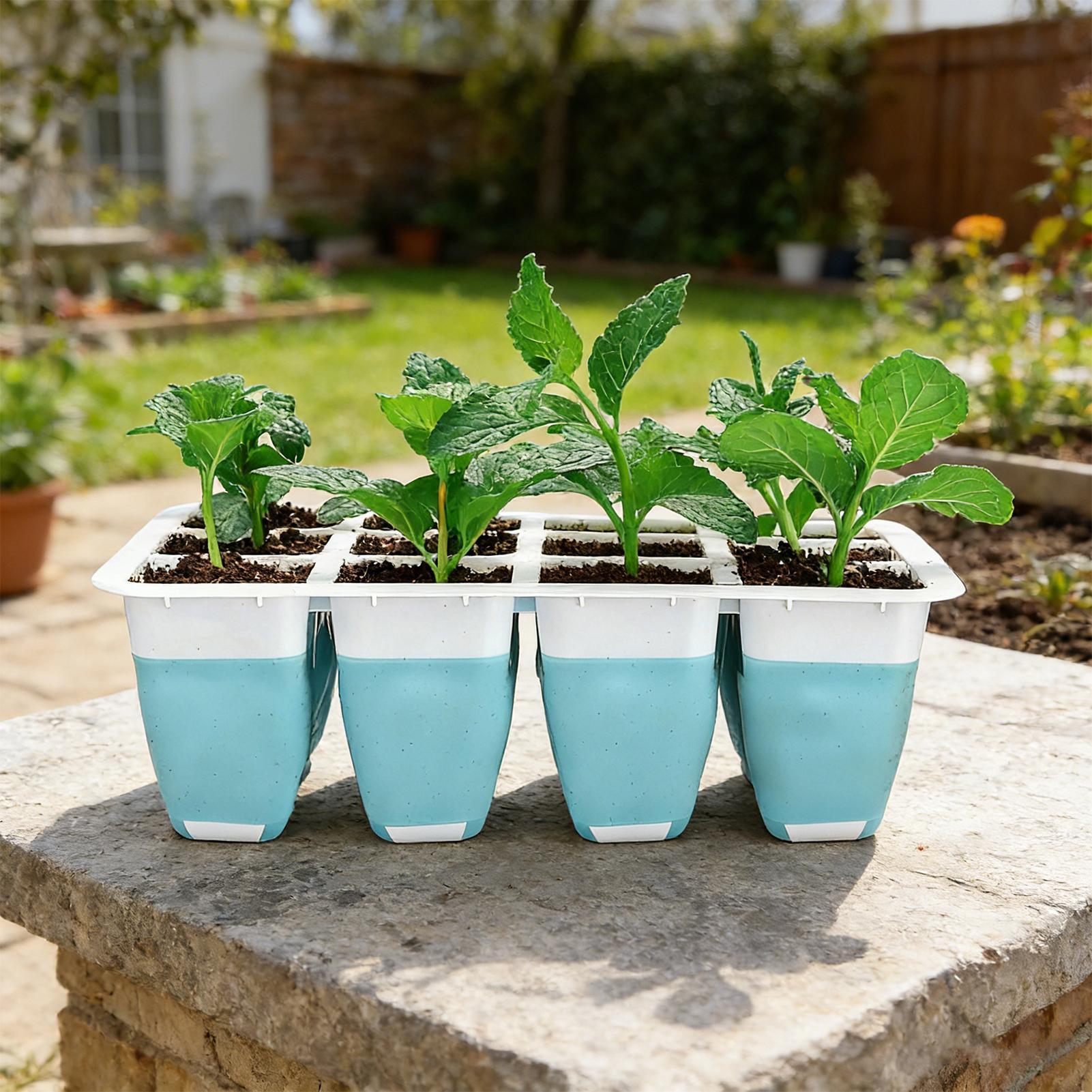 5'li Paket Silikon Tohum Başla - Indoor Garden Kit incelemesi ve fiyatı