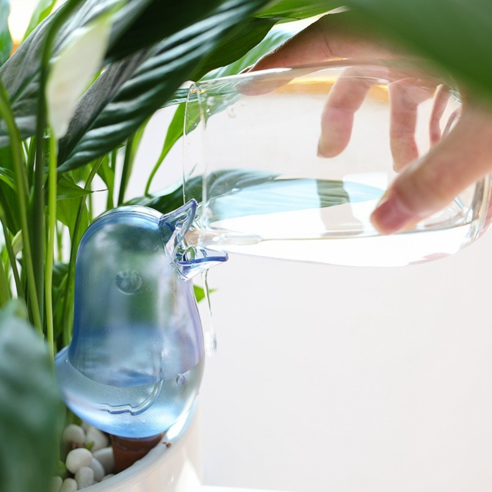 Kuş Şeklinde Bitki Sulama Ciha - Self Watering Planter incelemesi ve fiyatı