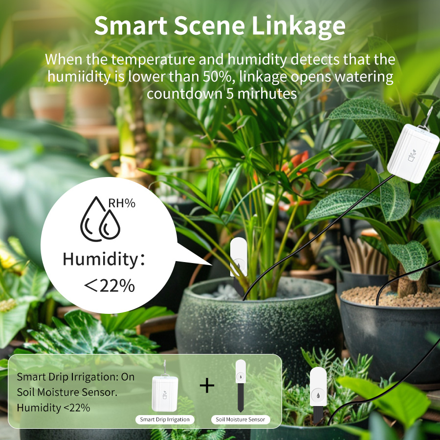 Akıllı Zigbee 3.0 Toprak Test  - Plant Monitor incelemesi ve fiyatı