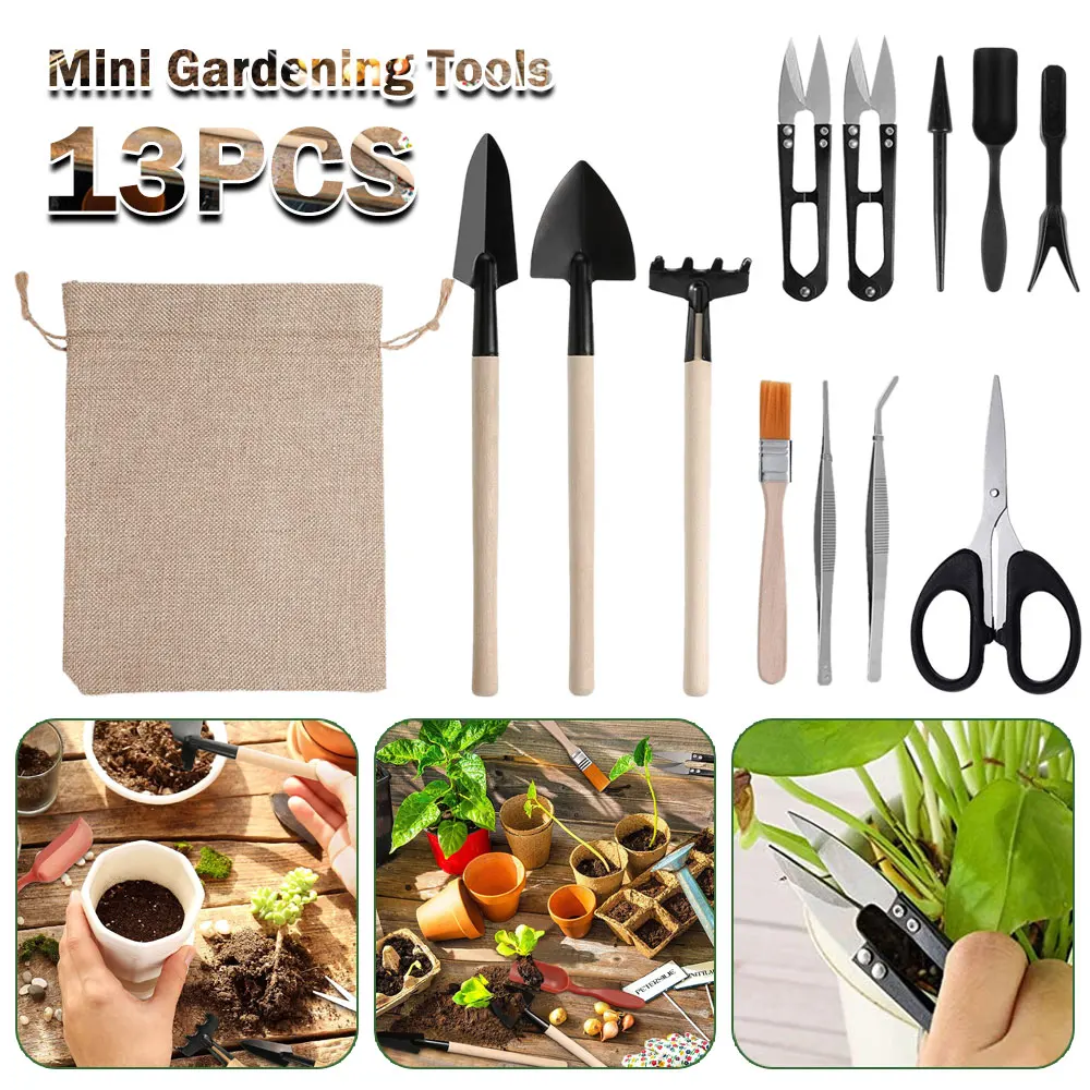 Kapalı bitki için 13 adet etli - Indoor Garden Kit incelemesi ve fiyatı