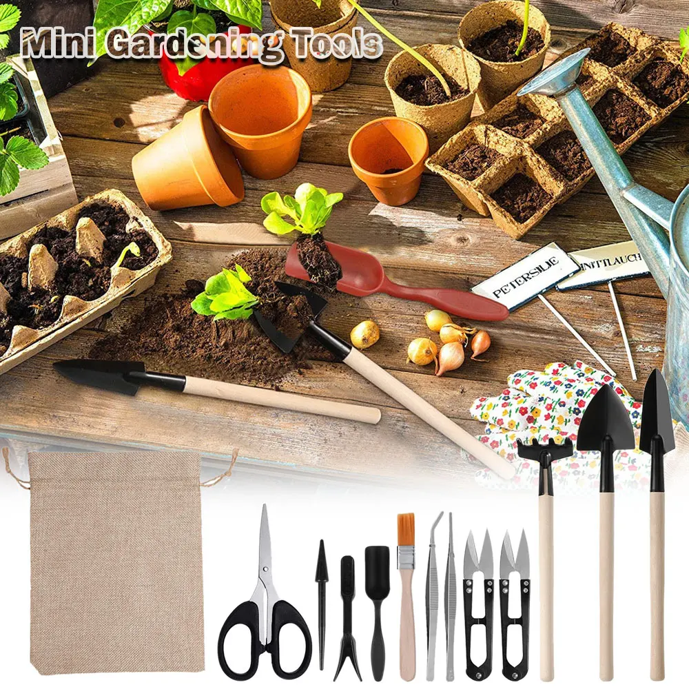 Kapalı bitki için 13 adet etli - Indoor Garden Kit incelemesi ve fiyatı