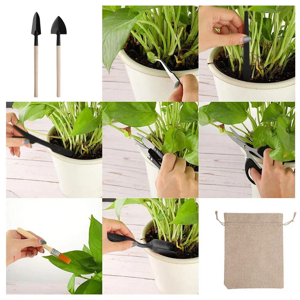 Kapalı bitki için 13 adet etli - Indoor Garden Kit incelemesi ve fiyatı
