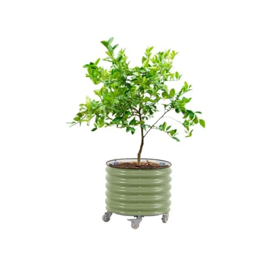 Gen 3 Model, Kendiliğinden Sul - Self Watering Planter incelemesi ve fiyatı