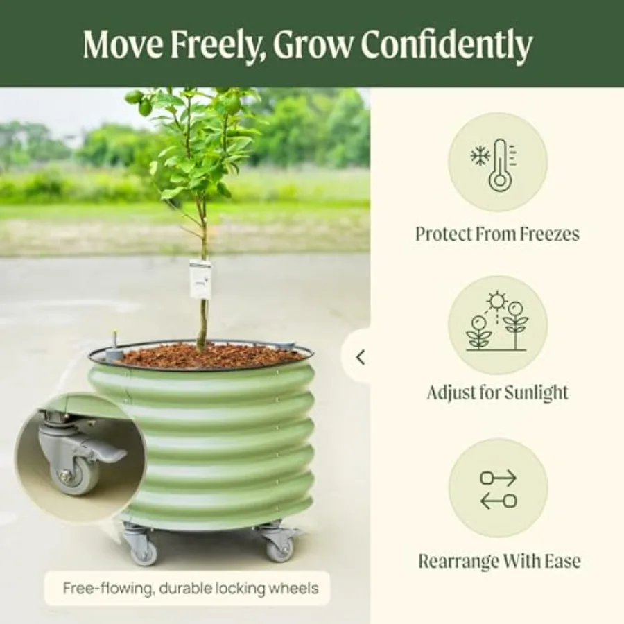 Gen 3 Model, Kendiliğinden Sul - Self Watering Planter incelemesi ve fiyatı