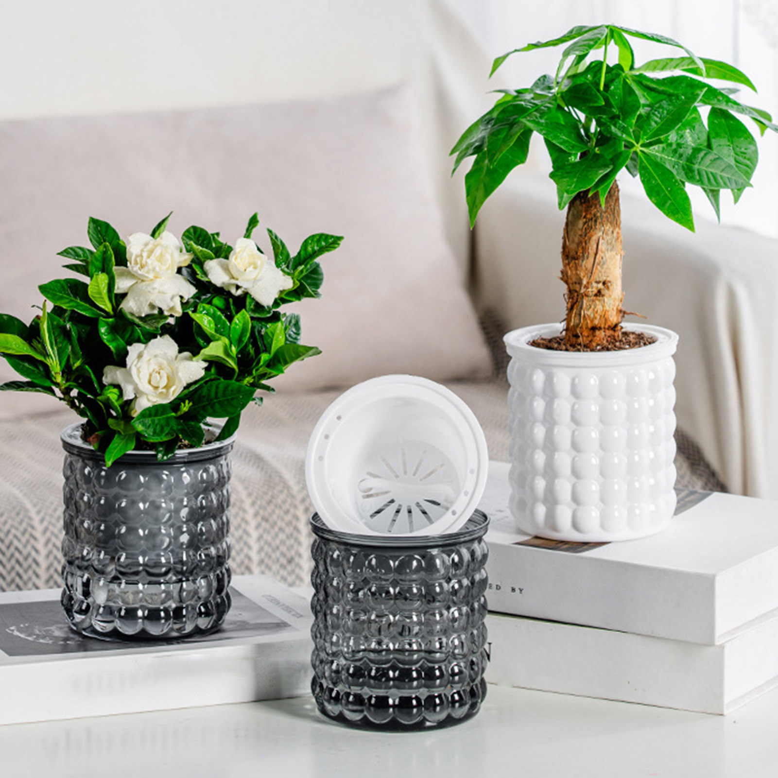 Yeni Kendinden Sulama Topraksı - Hydroponic Grow Pod incelemesi ve fiyatı