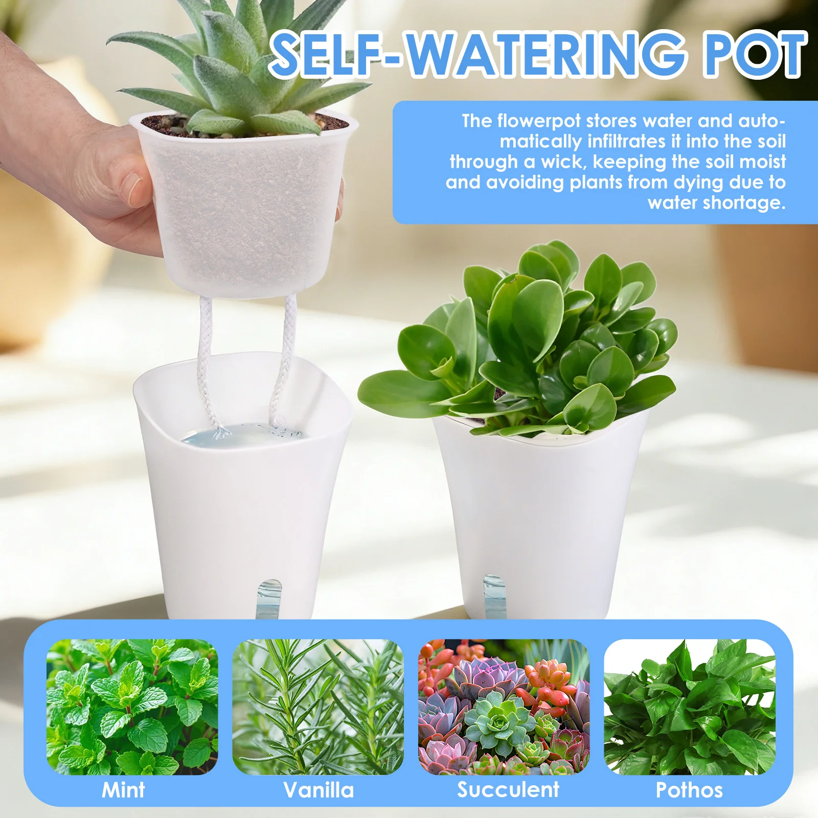 10 adet Kendinden Sulanan Ekic - Hydroponic Grow Pod incelemesi ve fiyatı