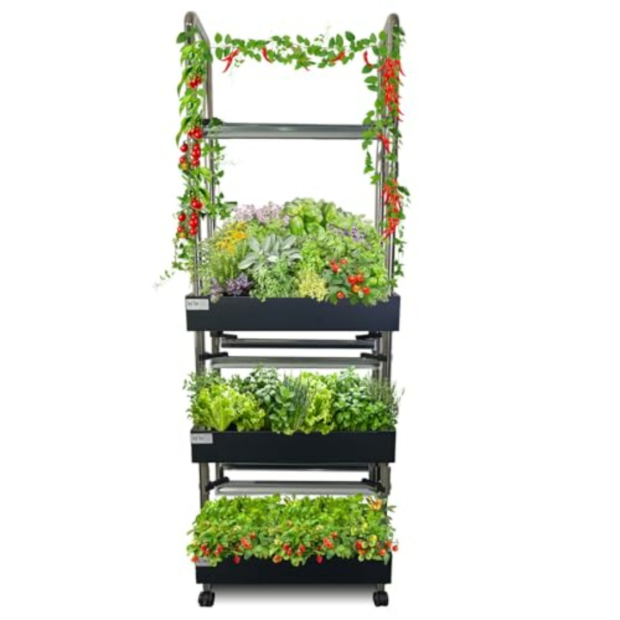 İç mekan hidroponik yetiştirme - Smart Garden System incelemesi ve fiyatı