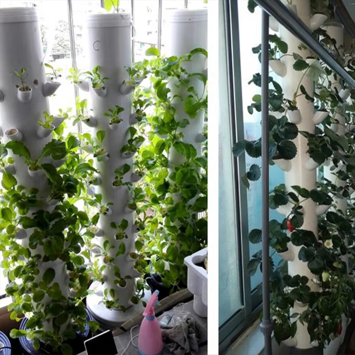 Hidroponik Dikey Kule Saksı DI - Hydroponic Tower incelemesi ve fiyatı