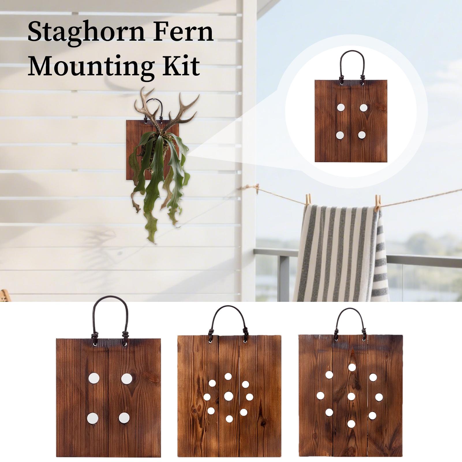 Staghorn Fern Duvar Montaj Pan - Indoor Garden Kit incelemesi ve fiyatı